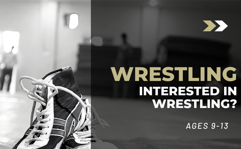 Interested in Wrestling? Express Your Interest Today!